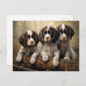 Engelse springer spaniel puppies briefkaart (Voorkant / Achterkant)