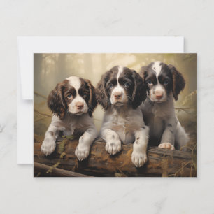 Engelse springer spaniel puppies briefkaart