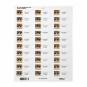 Engelse Springer Spaniel-Puppies Etiket (Full Sheet)