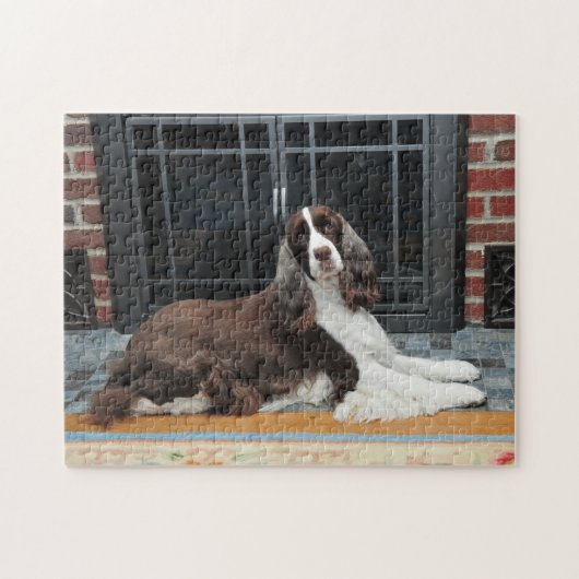 Engelse Springer Spaniel Puzzle Legpuzzel (Horizontaal)
