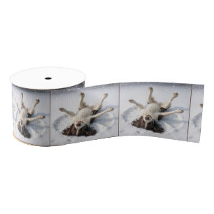 Engelse Springer Spaniel Sneeuwengel Grosgrain Lint