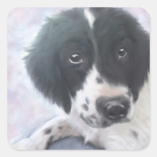 Engelse Springer Spaniel Sticker (Voorkant)