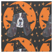 Engelse Springer Spaniel Stof (Close Up)