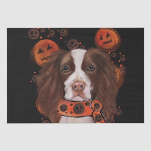 Engelse Springer Spaniel Tissuepapier (Voorkant)