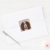 ENGELSE SPRINGER SPANIEL VIERKANTE STICKER (Envelop)