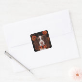 Engelse Springer Spaniel Vierkante Sticker (Envelop)