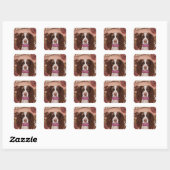 Engelse Springer Spaniel Vierkante Sticker (Vel)