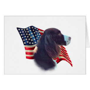 Engelse springer spaniel vlag