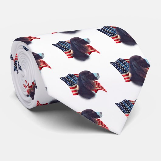 Engelse springer spaniel vlag stropdas (Opgerold)