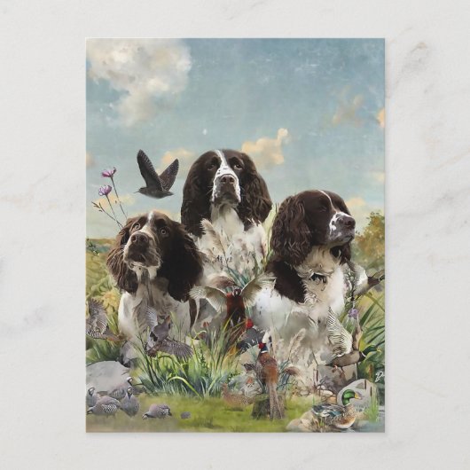 Engelse Springer Spaniels, kunst Briefkaart (Voorkant)