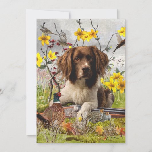 Engelse Springer Spaniels, kunst Kaart (Voorkant)