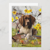Engelse Springer Spaniels, kunst Kaart (Voorkant / Achterkant)