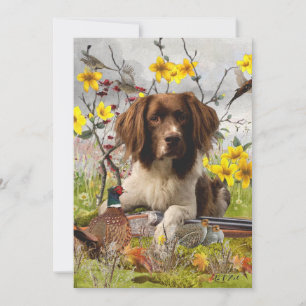 Engelse Springer Spaniels, kunst Kaart