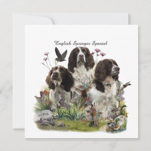 Engelse Springer Spaniels, kunst Kaart