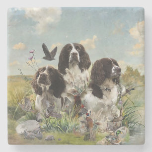 Engelse Springer Spaniels, kunst Stenen Onderzetter