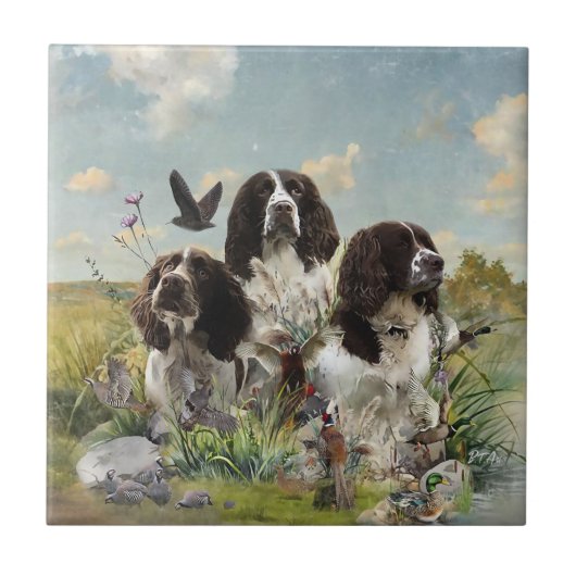 Engelse Springer Spaniels, kunst Tegeltje (Voorkant)
