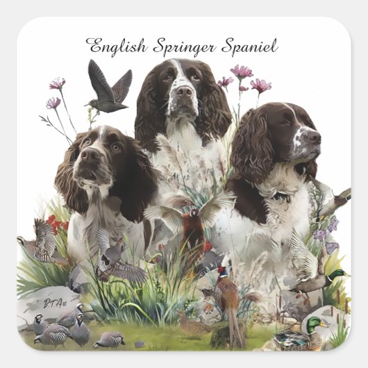 Engelse Springer Spaniels, kunst Vierkante Sticker (Voorkant)