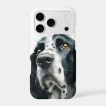 Engelse springerspaniel portret met ticking