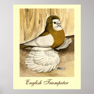 Engelse trompettist Duif Yellow Magpie Poster