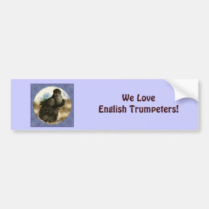 Engelse trompettist Pigeon Blue Lijst Bumpersticker