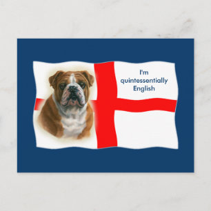 Engelse vlag en Briefkaart van bulldog