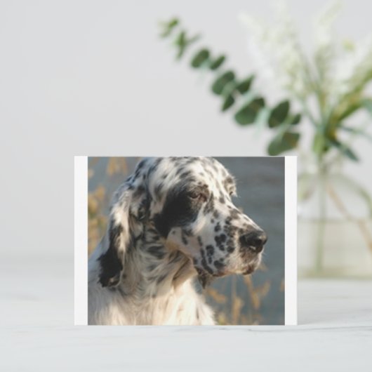 engelse zetter 2.png briefkaart (Staand voorkant)