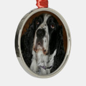 Engelstalige speciale foto van Springer Spaniel Metalen Ornament (Rechts)
