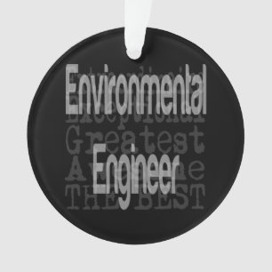 Engineer de l'environnement
