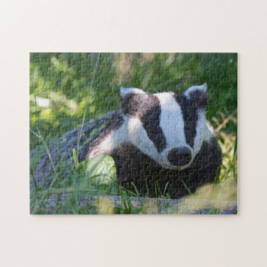 English Badger Puzzle Legpuzzel (Horizontaal)