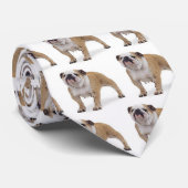 english_bulldog, cravate anglaise de bouledogue (Roulé)