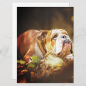 English Bulldog Forest Foto Menu (Voorkant / Achterkant)