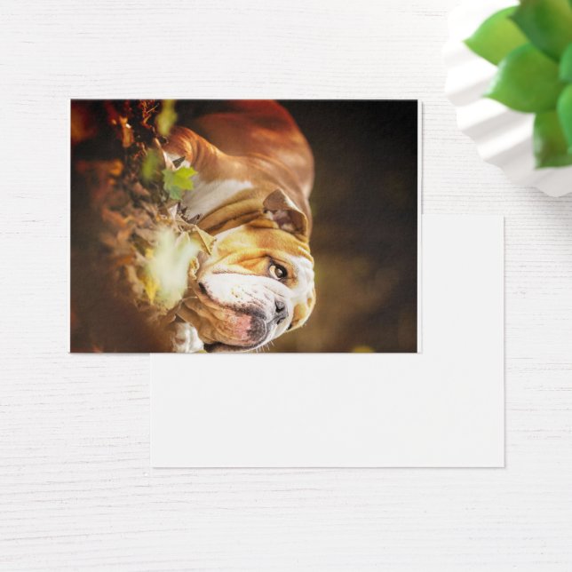 English Bulldog Forest Foto Visitekaartje (Bureau)