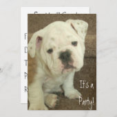 English Bulldog Puppy Invitations (Devant / Derrière)