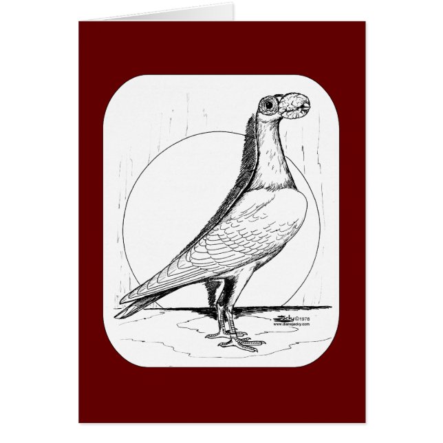 English Carrier Pigeon 1978 (Voorkant)