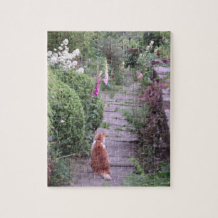 English cottage garden cats puzzel