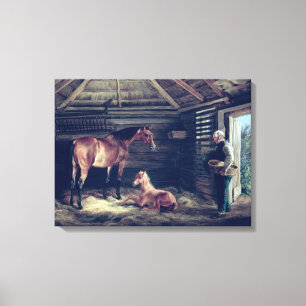 English Mare with her Foals, 1833 Canvas Afdruk
