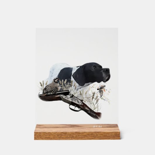 English Pointer  (Recto)