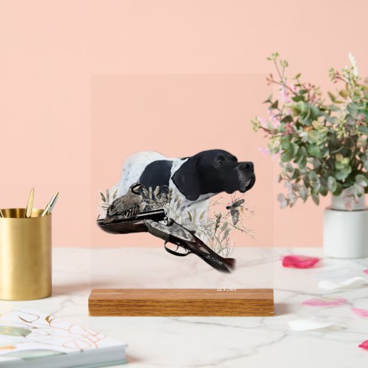 English Pointer  (Mariage)