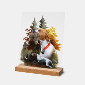 English Pointer  (Angle)