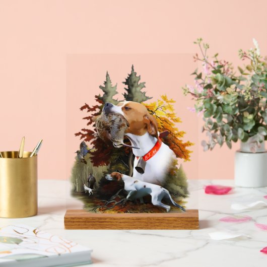 English Pointer  (Mariage)