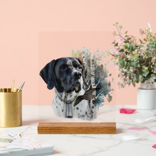 English Pointer  (Mariage)