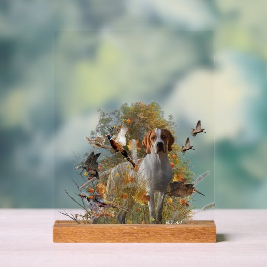 English Pointer  (Neutre)