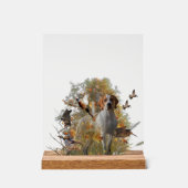 English Pointer  (Recto)