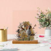 English Pointer  (Mariage)