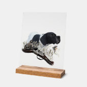 English Pointer  Acryl Bord (Hoek)