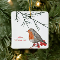 English Redborst Robin Bird Holiday Kerstmis