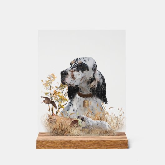 English Setter  (Recto)