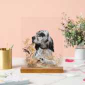 English Setter  (Mariage)