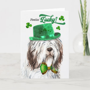 English Sheepdog Feelin' Lucky St Patrick's Day Feestdagen Kaart