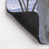 English Shepherd - Paige Muismat (Hoek)